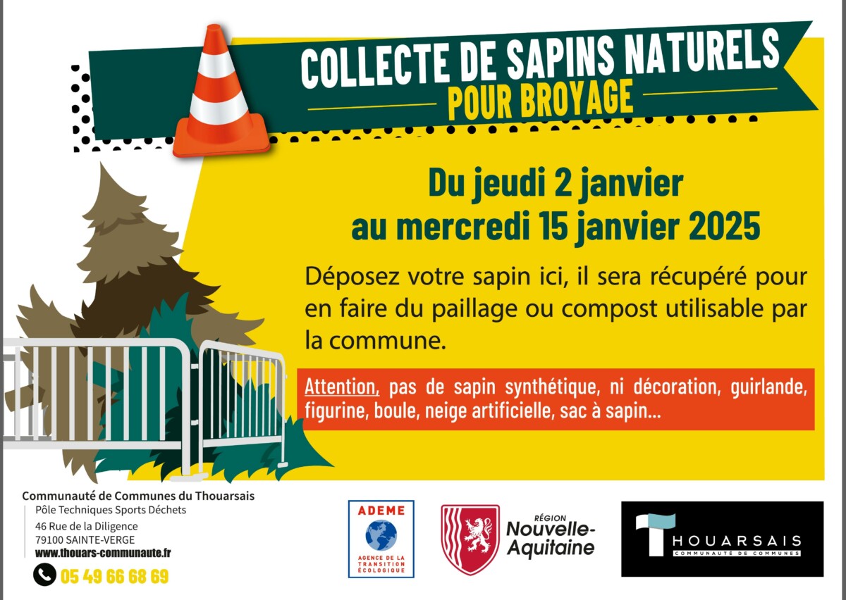 Collecte des sapins de Noël : Offrez leur  une seconde vie  !